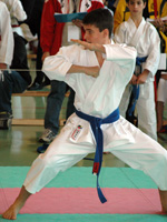 Michael Sporrer